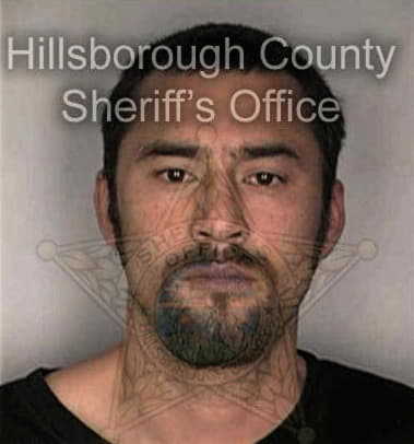 Francisco Feliciano, - Hillsborough County, FL 