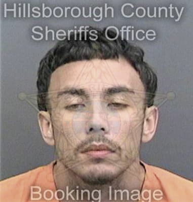 Brian Garcia, - Hillsborough County, FL 