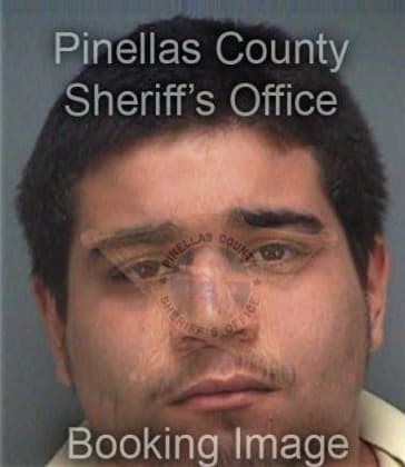 Francisco Jaimesbenitez, - Pinellas County, FL 