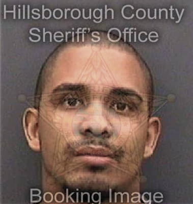 Timothy Brazell - Hillsborough County, FL 