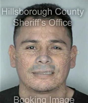 Stephen Lacola, - Hillsborough County, FL 