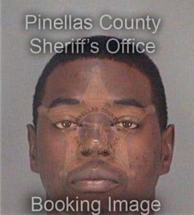 Anthony Lee, - Pinellas County, FL 