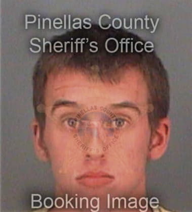 Vincent Michalowski, - Pinellas County, FL 