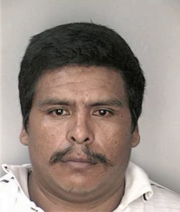 Victor Navarretedelacruz, - Hillsborough County, FL 