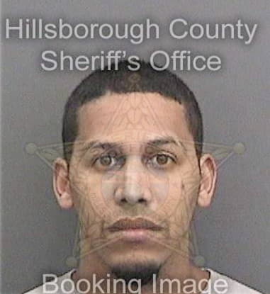 Felix Navarro, - Hillsborough County, FL 