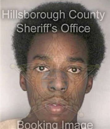 Henry Charlot - Hillsborough County, FL 