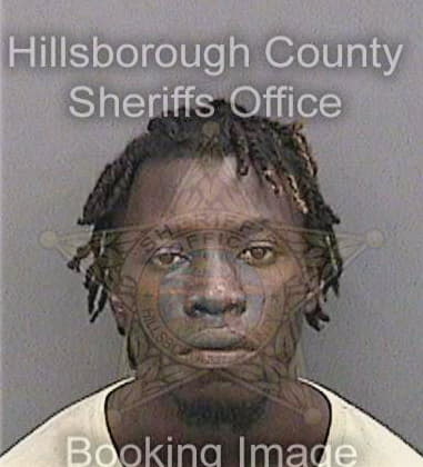 Henry Chriss - Hillsborough County, FL 