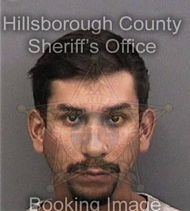 Crisoforo Dominguez, - Hillsborough County, FL 