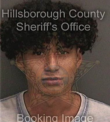 David Moreno, - Hillsborough County, FL 