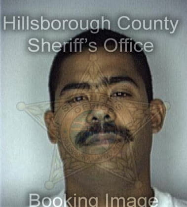 Gabriel Reynoso, - Hillsborough County, FL 