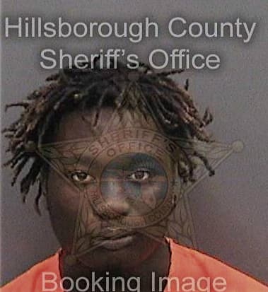 Ricardo Ricks, - Hillsborough County, FL 