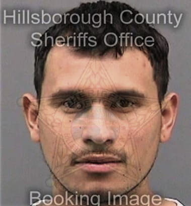 Brandon Simpson, - Hillsborough County, FL 