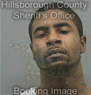 Larry Wiggs - Hillsborough County, FL 