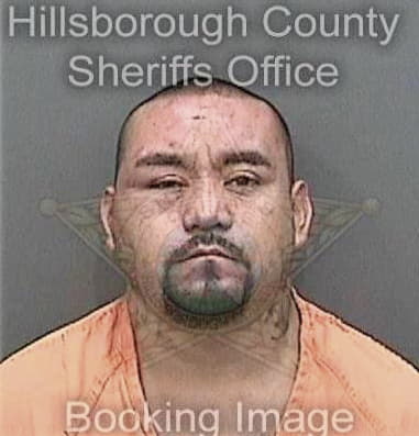 Jorge Alvaradogonzalez, - Hillsborough County, FL 