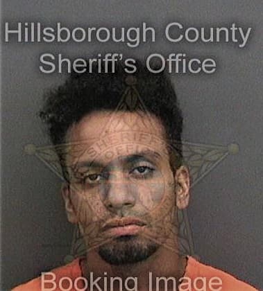 Christopher Archibald, - Hillsborough County, FL 