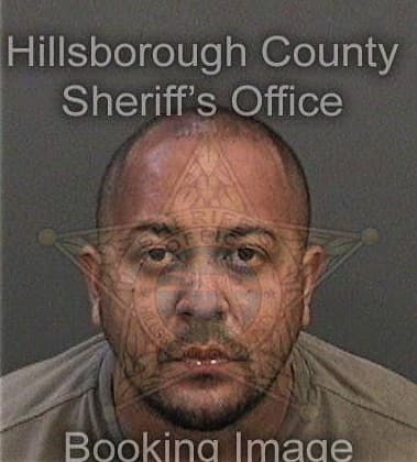 David Aristizabal, - Hillsborough County, FL 