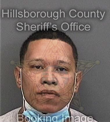 Ronald Atkins, - Hillsborough County, FL 