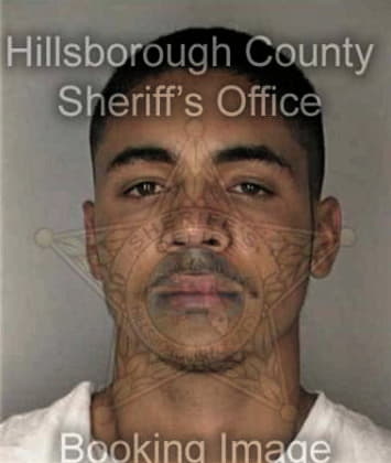 Derrick Boles - Hillsborough County, FL 