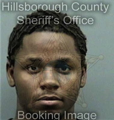 Christopher Brown, - Hillsborough County, FL 