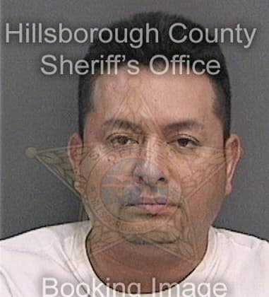 Jason Brown, - Hillsborough County, FL 