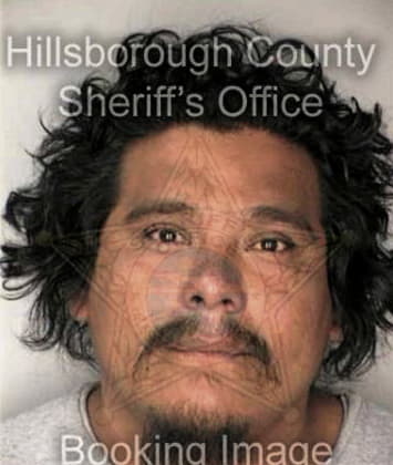 Jorge Castillo, - Hillsborough County, FL 