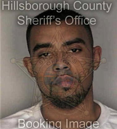 Ellis Mitchell - Hillsborough County, FL 