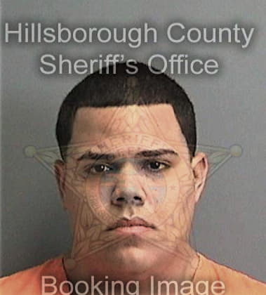 David Roldan, - Hillsborough County, FL 