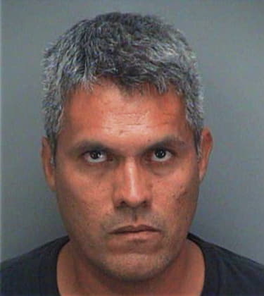 Miguel Villahernandez, - Pinellas County, FL 