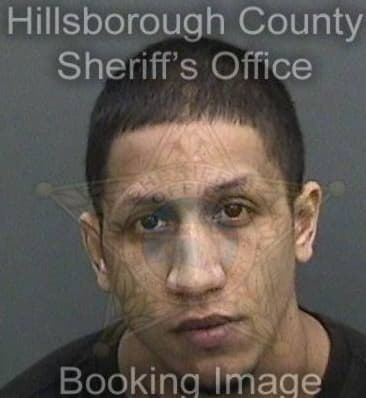 Kenneth Williams, - Hillsborough County, FL 