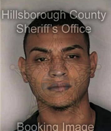 Christian Agudeld, - Hillsborough County, FL 