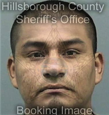 Alberto Borrero - Hillsborough County, FL 