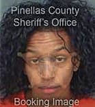 Laronda Brooks, - Pinellas County, FL 