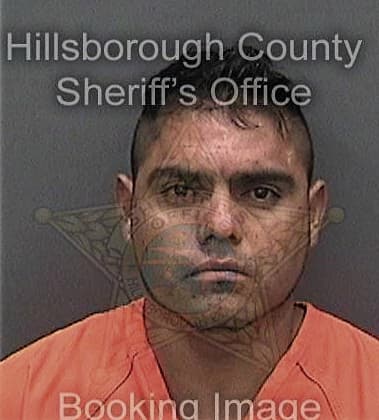 Robert Bush, - Hillsborough County, FL 