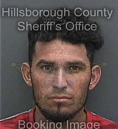 Luis Colon-Pabon, - Hillsborough County, FL 