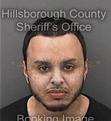 Christian Figueroapardo, - Hillsborough County, FL 