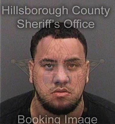 Ryan Finkelstein, - Hillsborough County, FL 