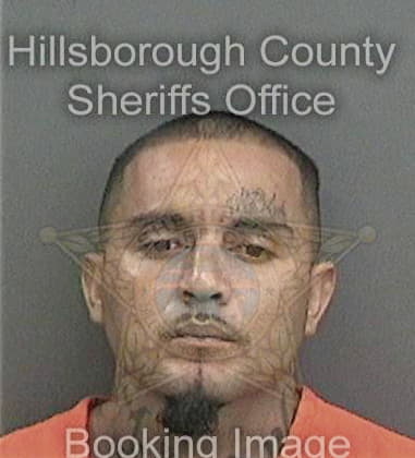 Darren Grinsdale, - Hillsborough County, FL 