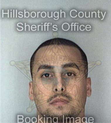 Laurent Roberdeau - Hillsborough County, FL 