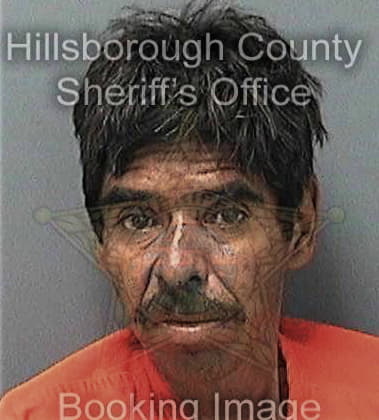 Jeffrey Roy, - Hillsborough County, FL 