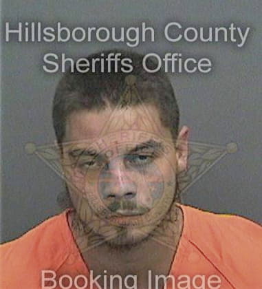 Danny Watkins, - Hillsborough County, FL 