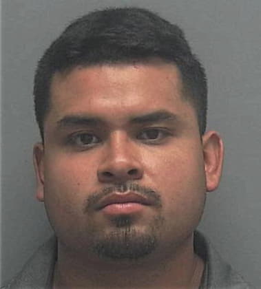 Nestor Escobar, - Lee County, FL 