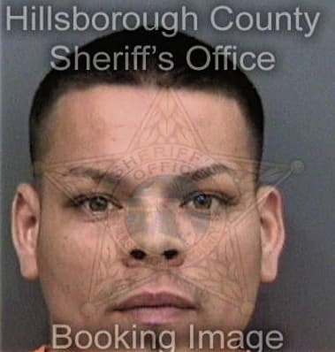 Michael Harris, - Hillsborough County, FL 