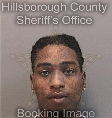 Darrius James, - Hillsborough County, FL 