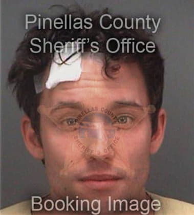 Kelly McGaughey - Pinellas County, FL 
