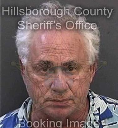 Adam Shehata, - Hillsborough County, FL 