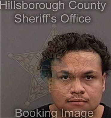 Johnothan Sherrill, - Hillsborough County, FL 