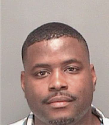 Shyrone Summers, - Pinellas County, FL 