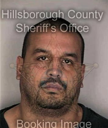 Bruce Bracetty - Hillsborough County, FL 