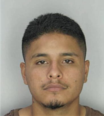 Bennie Henley - Hillsborough County, FL 
