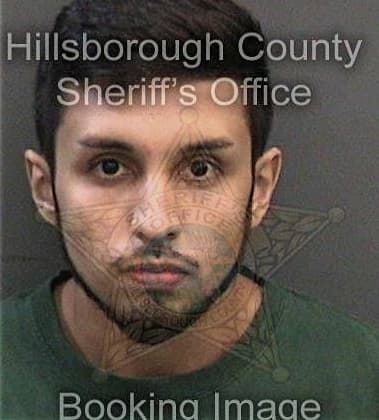 Alex Mercado - Hillsborough County, FL 